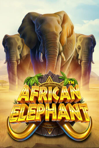 African Elephant