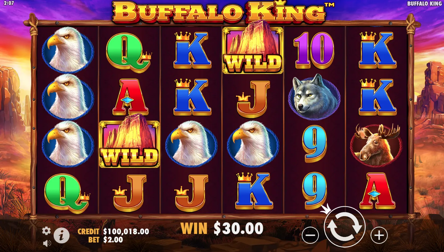 Buffalo King screenshot 3