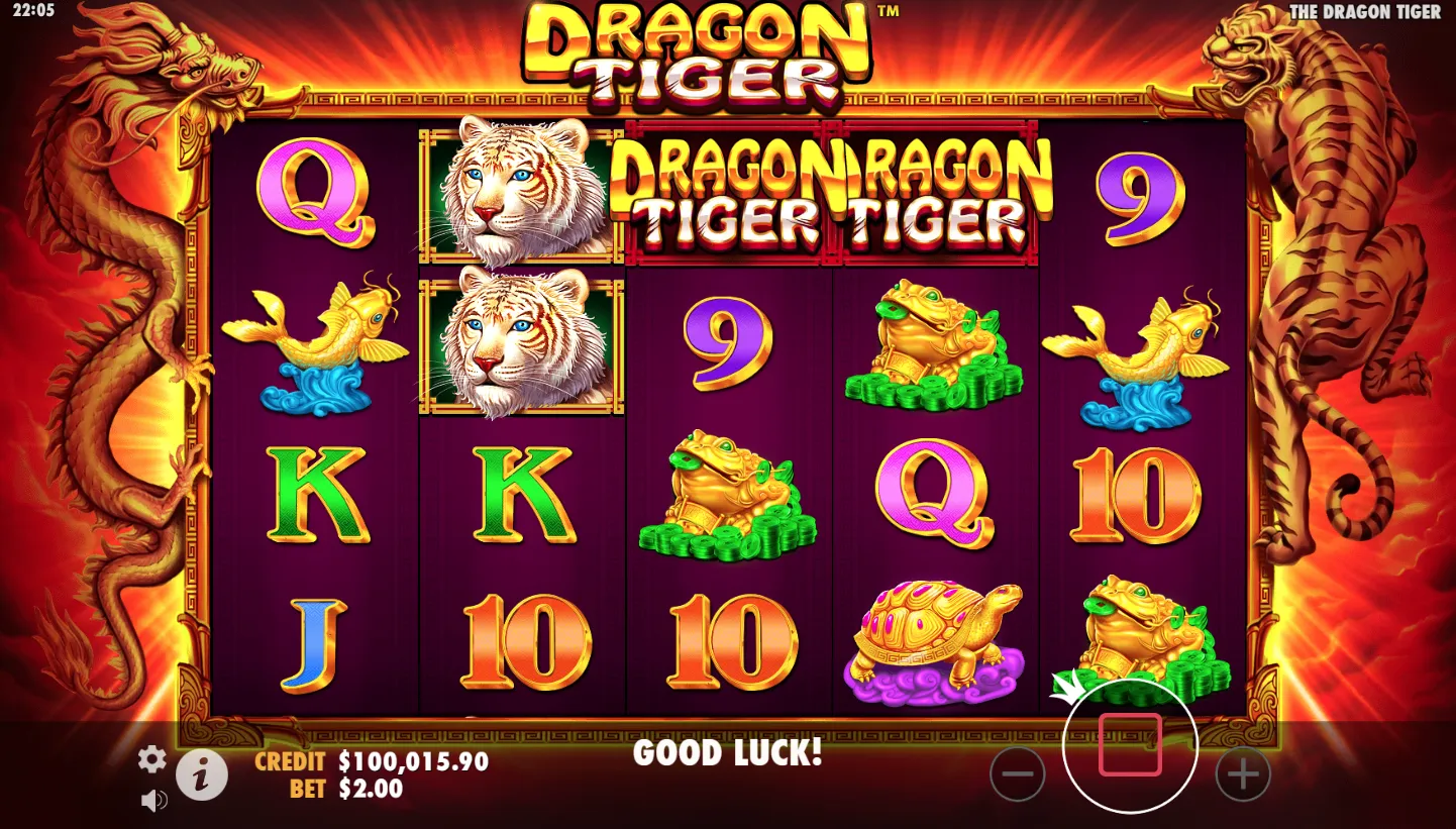 Dragon Tiger screenshot 4
