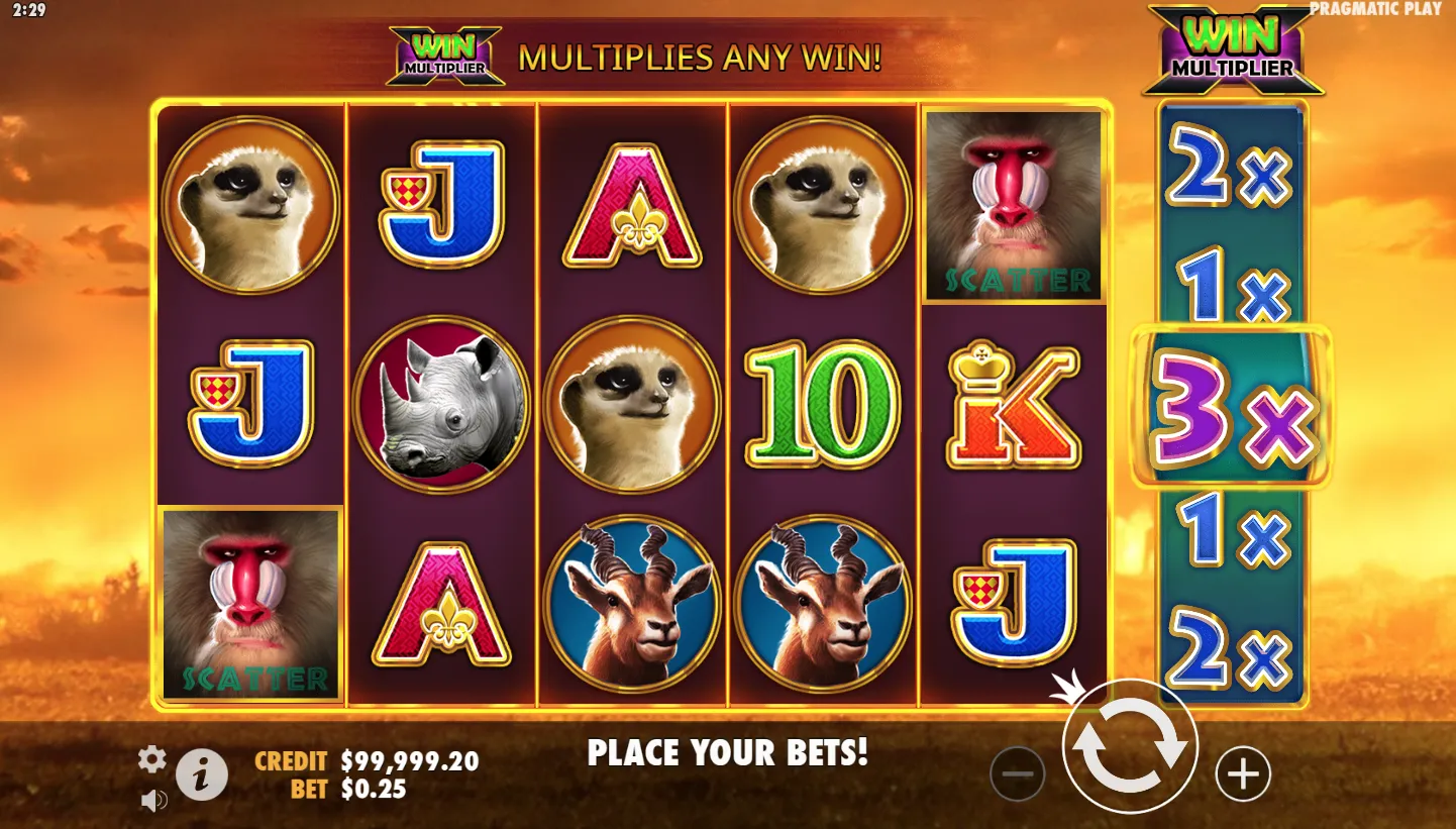 Hot Safari screenshot 2