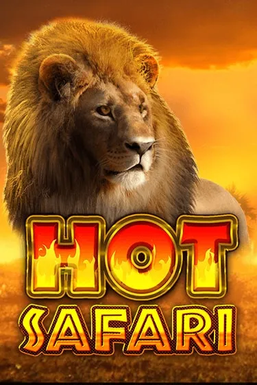 Hot Safari