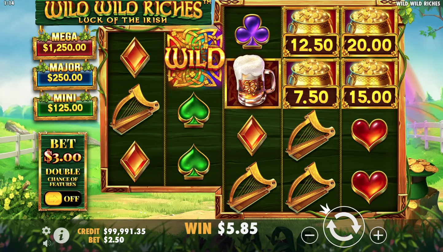 Wild Wild Riches screenshot 3