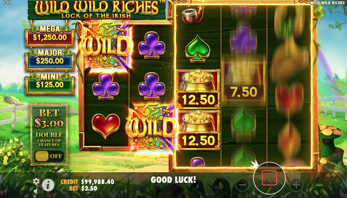 Wild Wild Riches screenshot 5