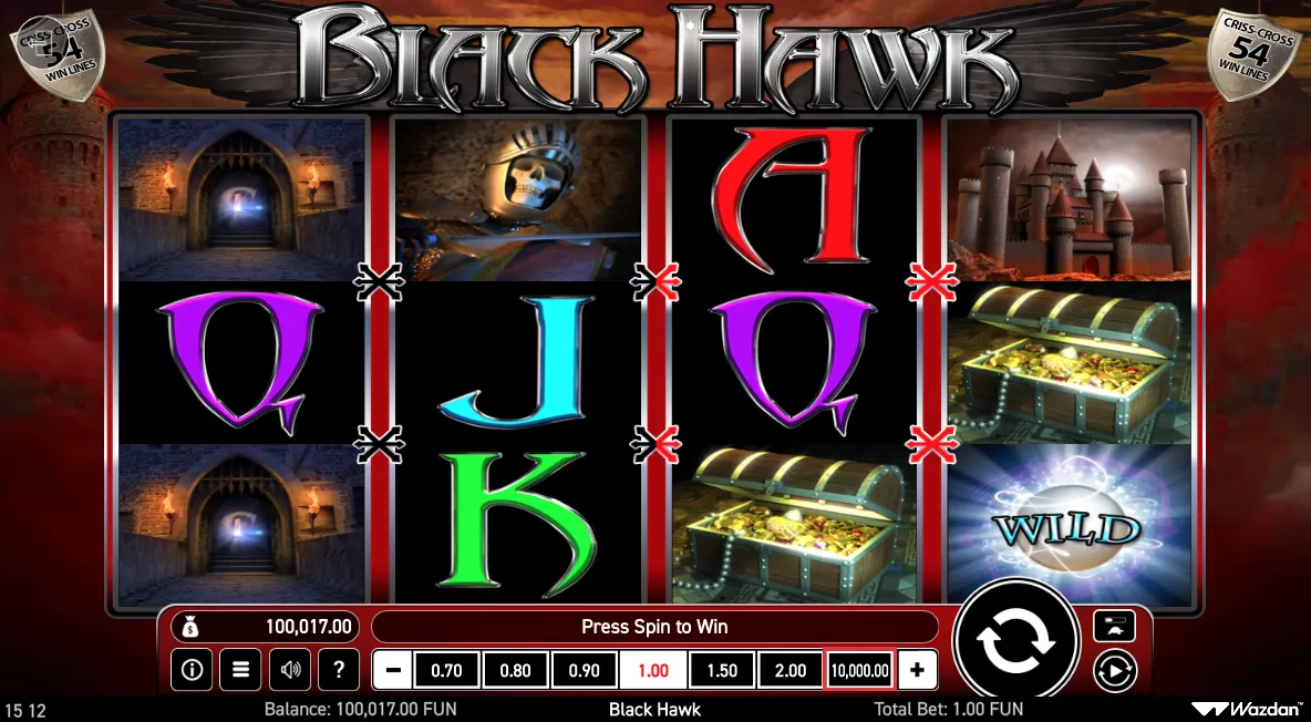 Black Hawk screenshot 4