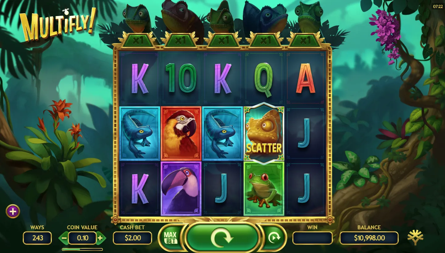 MultiFly screenshot 1