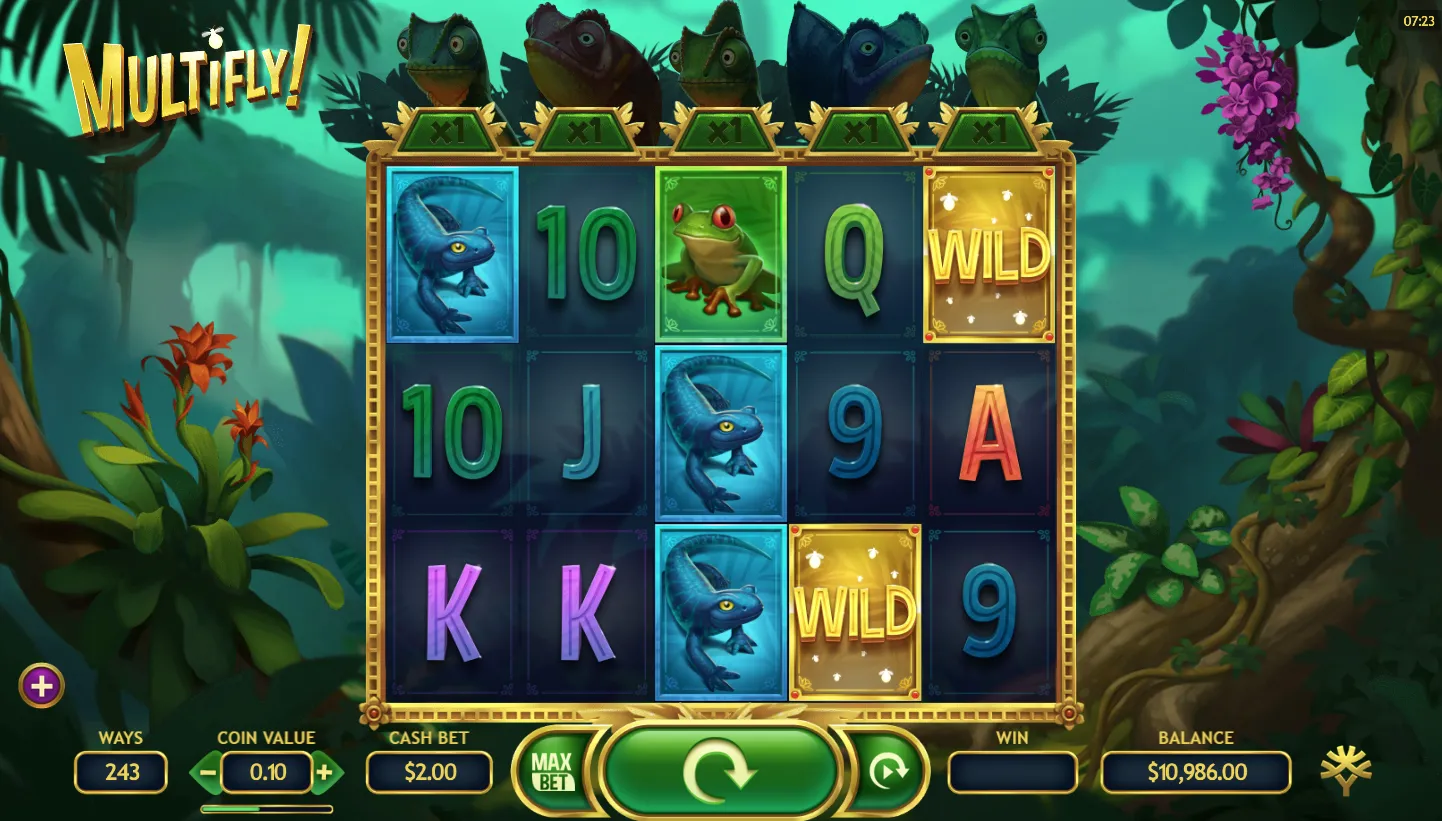 MultiFly screenshot 4