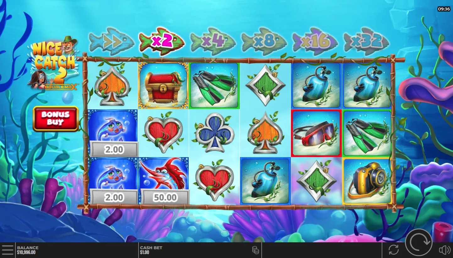 Nice Catch 2 DoubleMax screenshot 3