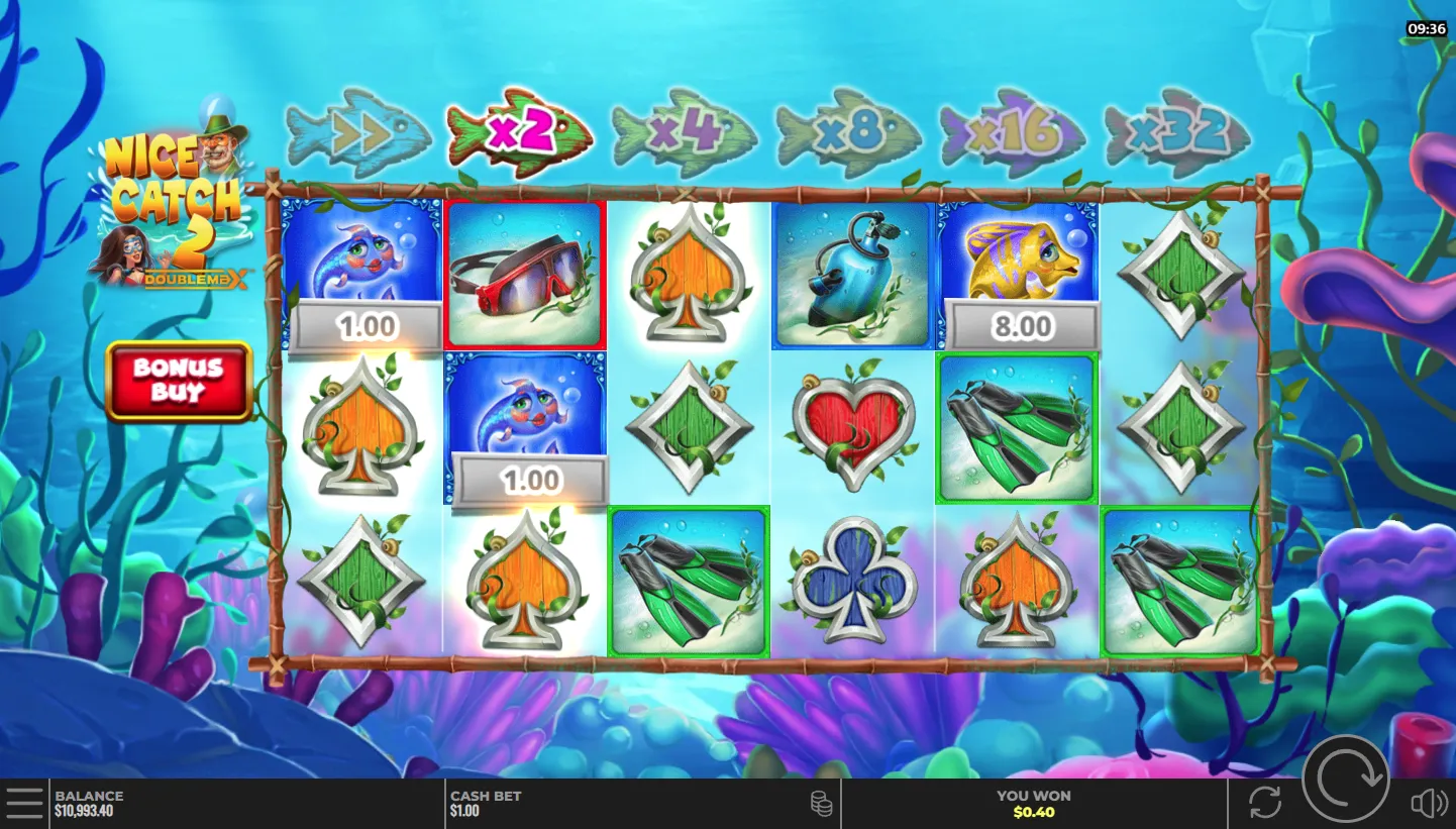 Nice Catch 2 DoubleMax screenshot 5