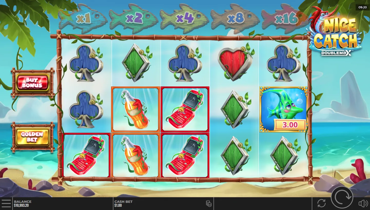 Nice Catch DoubleMax screenshot 5