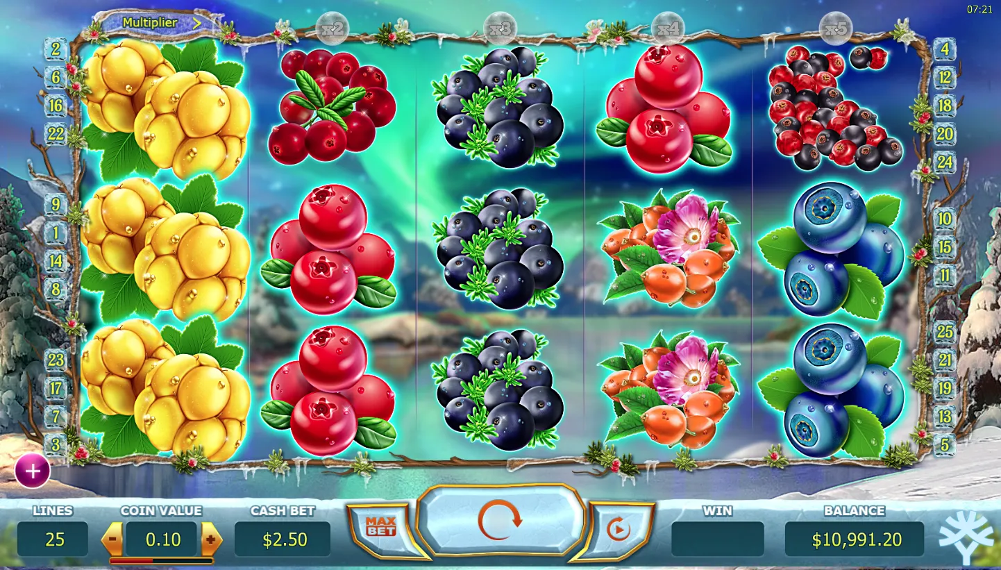 Winter Berries screenshot 4