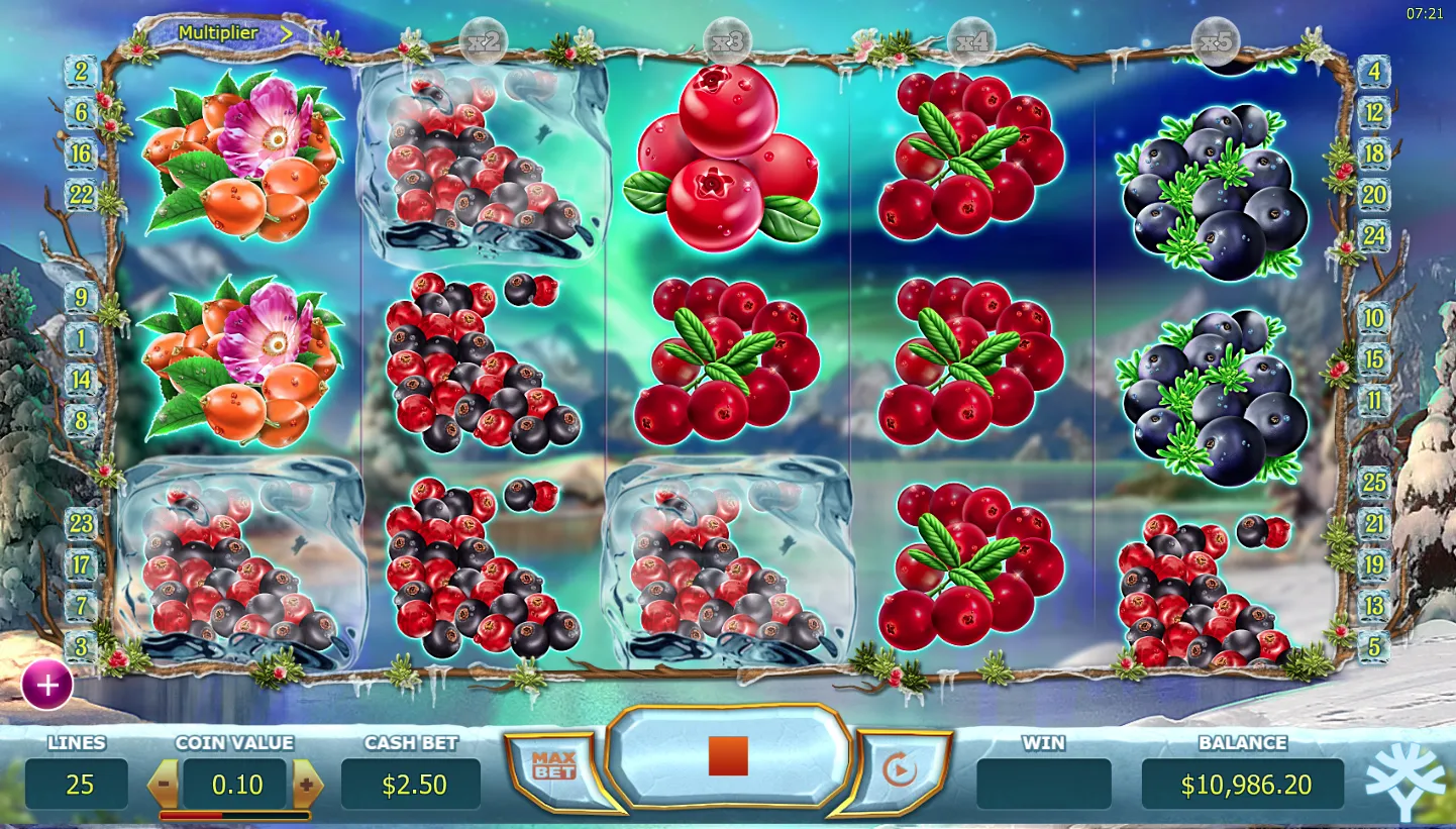 Winter Berries screenshot 5