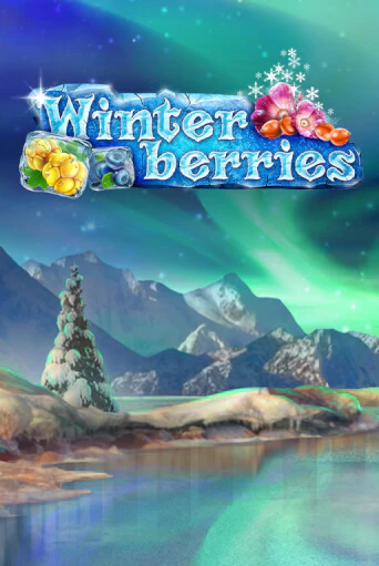 Winter Berries